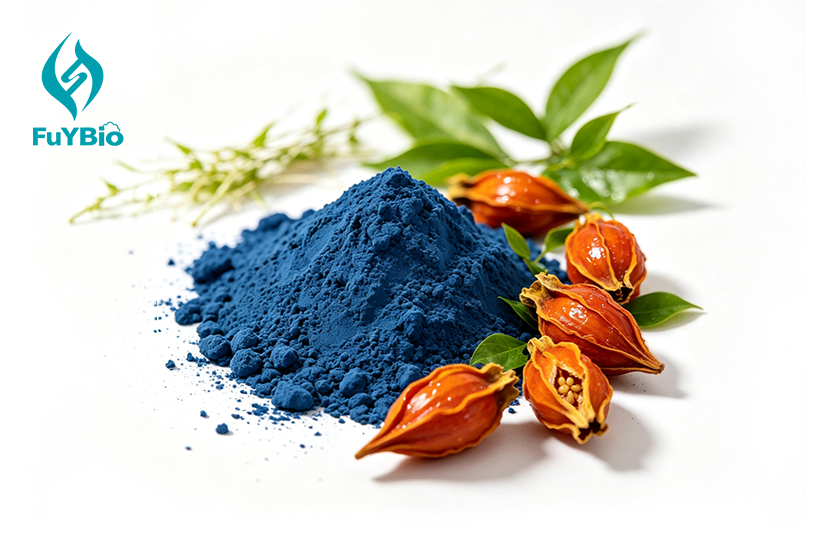 Gardenia Blue Powder